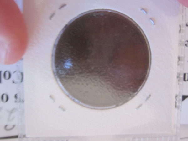 New-Arrivals-Now-With-Actual-Photos-:d-See-Bottom-Of-Page